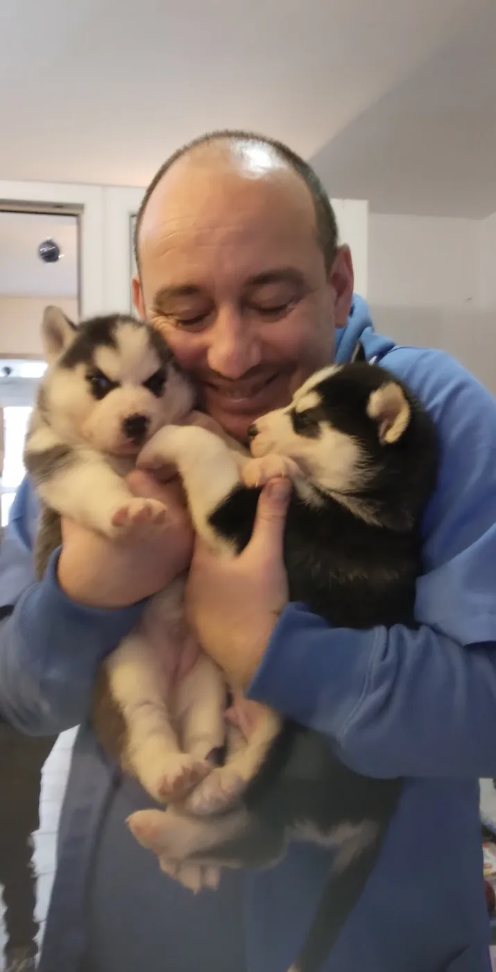 Doctorul Șerban Simion Marcel ținând în brațe doi pui de husky